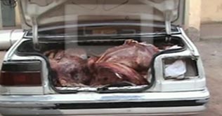 Multan: police recovers meat of dead animal