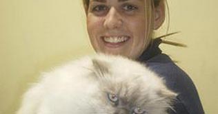 Facebook reunited cat with owner