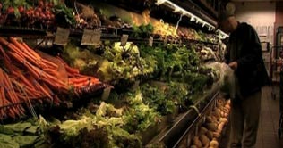  1 billion tonnes of food wasted worldwide