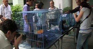 Thai police prevent smuggling of endangered animals