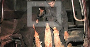 Quetta: Police raid warehouse, seize 57 mortar shells 