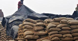 PASCO to achieve wheat-buying target in June