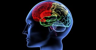 Blind people use visual parts of their brain