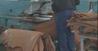  Increase witnessed in export of leather products