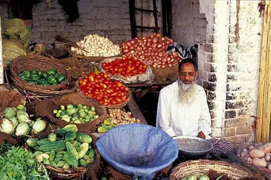 Rising trend persists in daily use items