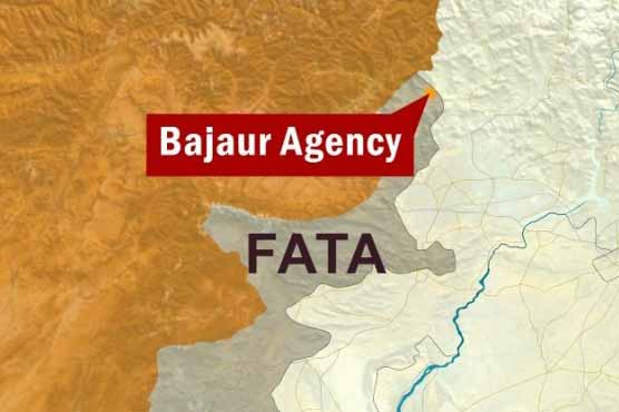Bajaur Agency: Woman killed, 6 injured in militants attack