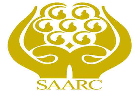 Pakistan backs enhanced China role in SAARC