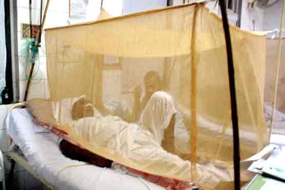 Number of dengue patients continues to increase
