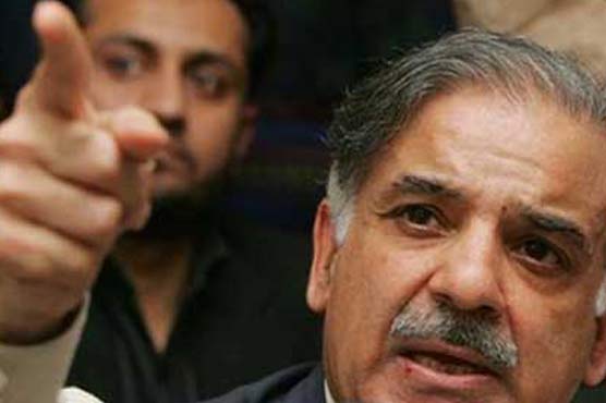 Shahbaz blames media for dengue setback