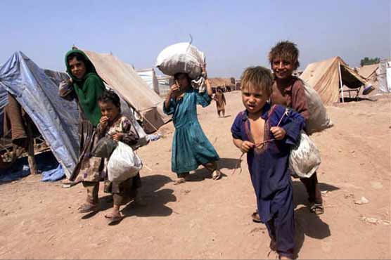 Afghan refugees status to end in 2012: UNHCR 