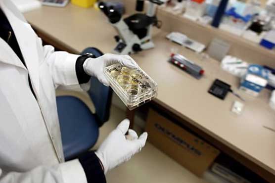 Cardiac stem cells help fix a broken heart