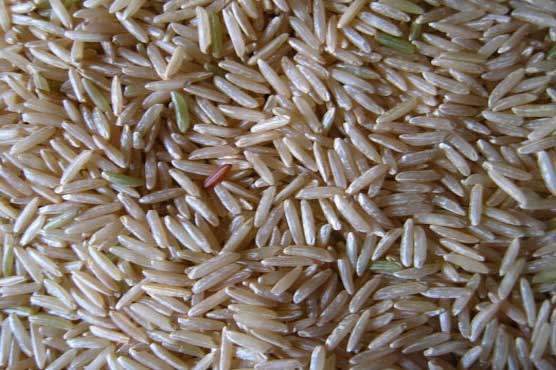 Chinese scientists claim to create blood cells from rice seeds 