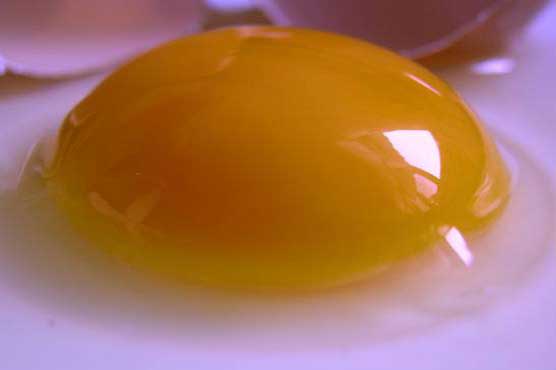 Taking eggs white on toast keeps awake at work 