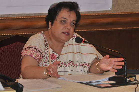 PTI seeks suo motu on memogate scandal