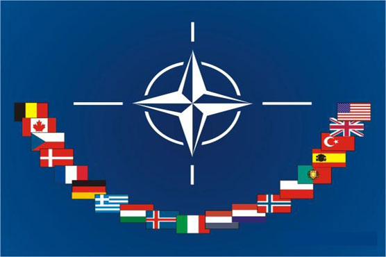 NATO pleads for patience in Syria, Egypt