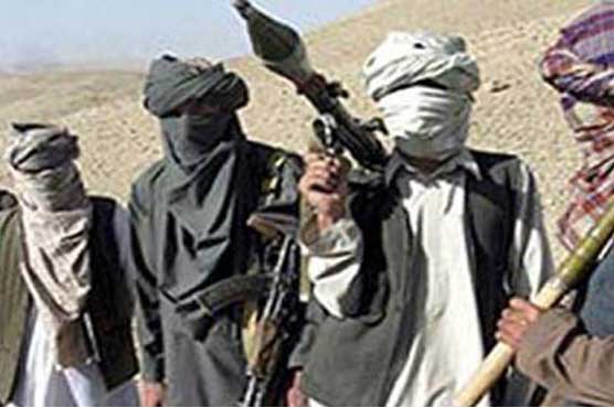 Pakistani Taliban, government hold initial talks