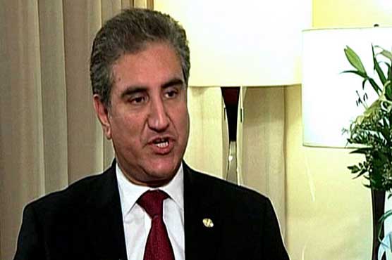 Memo-gate: Qureshi questions blaming only Haqqani