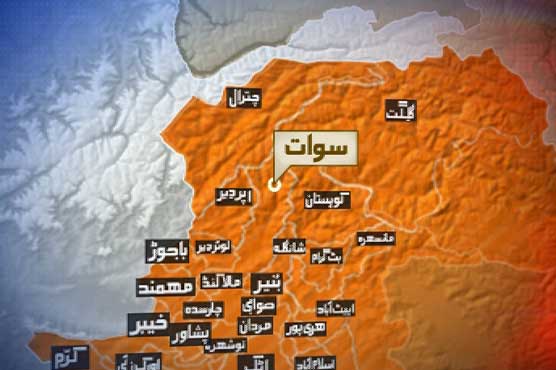 Swat: Seven of a family die as roof collapses