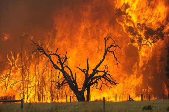 Bushfire destroys homes in Australia