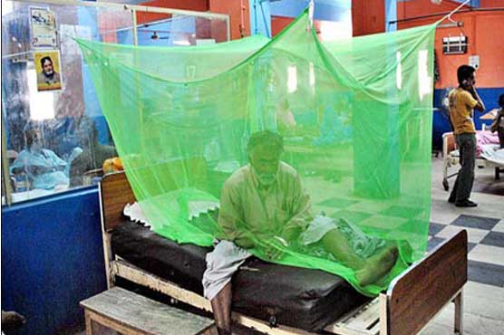Lahore: Eight more die of dengue