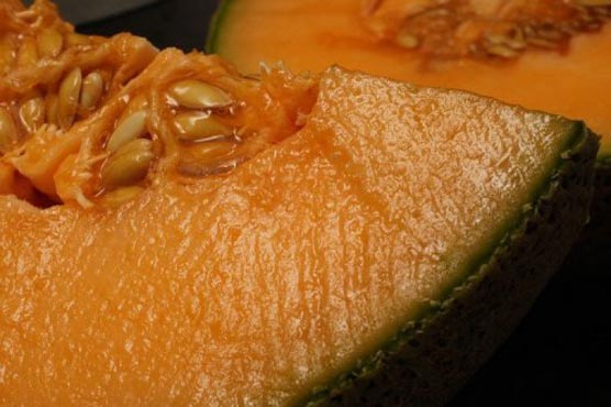 US death toll from bad cantaloupes rises