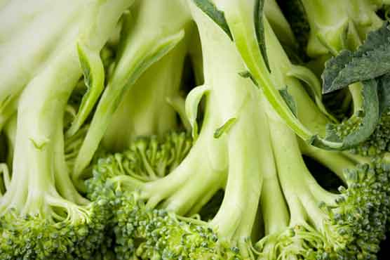 Cancer, heart disease can be cured with super broccoli