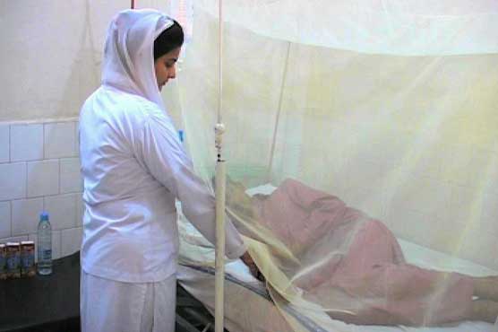Killer dengue takes 5 more lives today