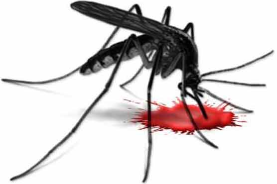 6 more succumb to dengue in Lahore