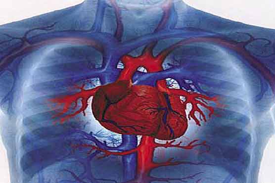 Physical inactivity may increase heart disease risk