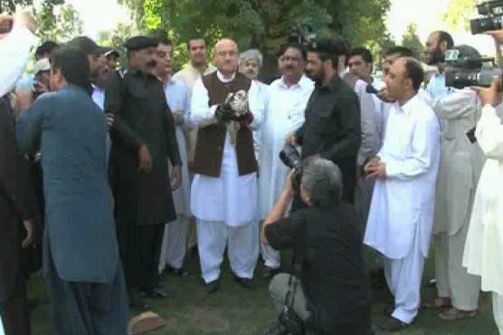 Peshawar: Falcon trappers to be punished: Forest Minister