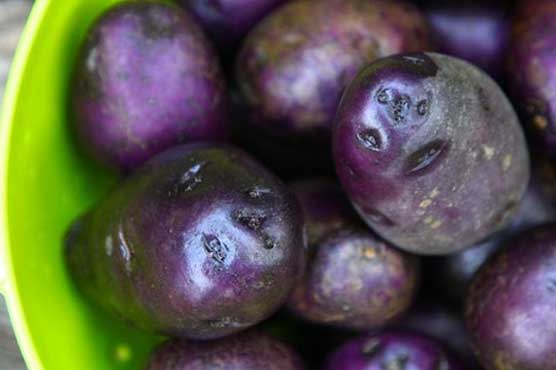Purple potatoes can lower BP: research