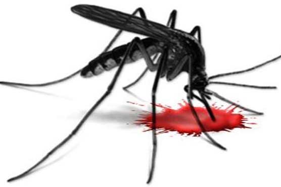 Lahore: Dengue claims 8 more lives