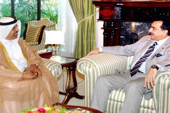 UAE assures support to Pakistan for UNSC seat