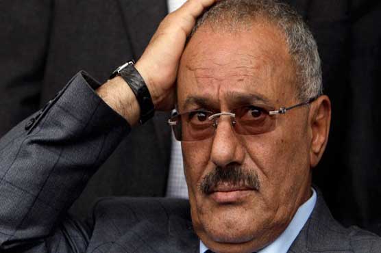 Saleh demands US, EU guarantees to quit