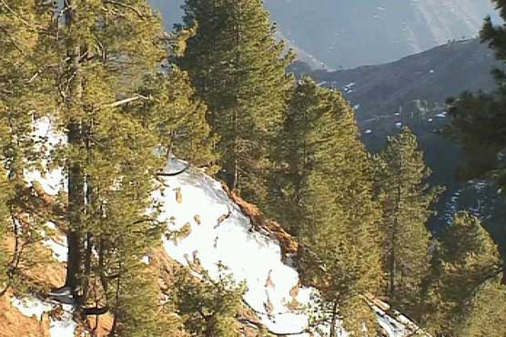 Rain, snowfall set in winter