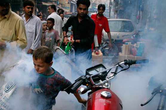Anti dengue measures: 2nd phase of spray starts
