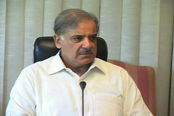 Training programs on dengue started in teaching hospitals: Shahbaz