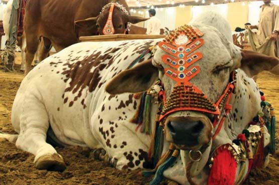 Interior Ministry to form commission against Punjab Govt