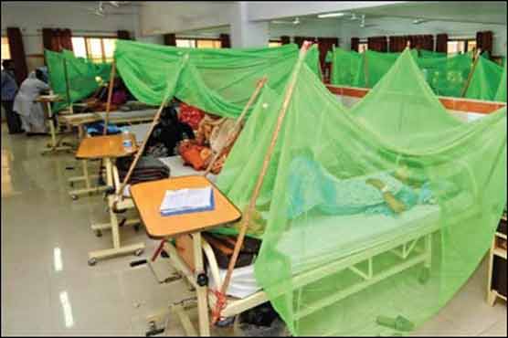 Dengue claims three more lives in Lahore