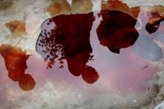 NATO kills ex-Gitmo detainee in Afghanistan