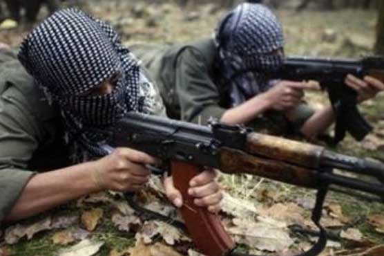 Iran's elite Revolutionary Guards killed 22 rebels