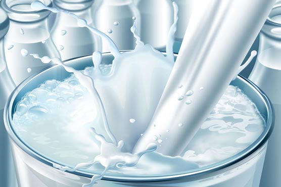 Un-boiled full cream milk can be risky, says report