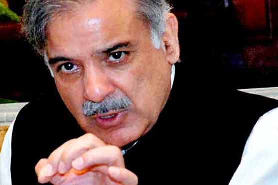 Dengue mosquito virtually stronger than Govt: Shahbaz