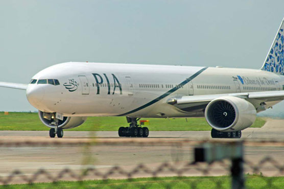 Bird-hit plane makes emergency landing