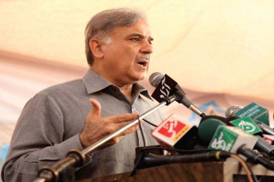 COAS may be asked to help kill mosquitoes: Shahbaz