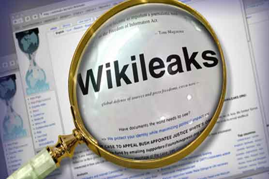 Zardari desired to continue with 17th Amendment: WikiLeaks 