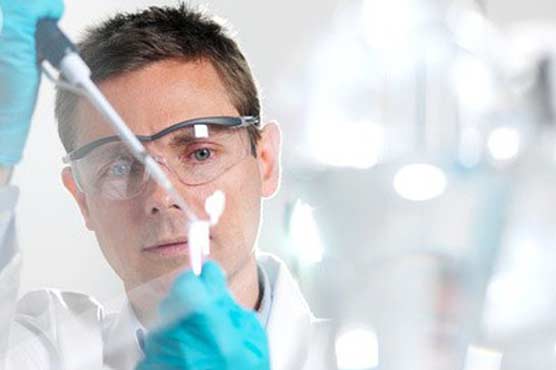 Gene responsible for regulating chronic pain discovered