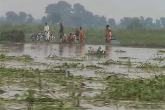 Sutlej River flows high again 