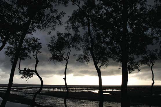 Fresh spell of monsoon begins in upper parts