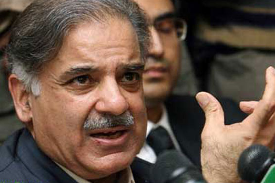 All out to kill dengue, says Shahbaz